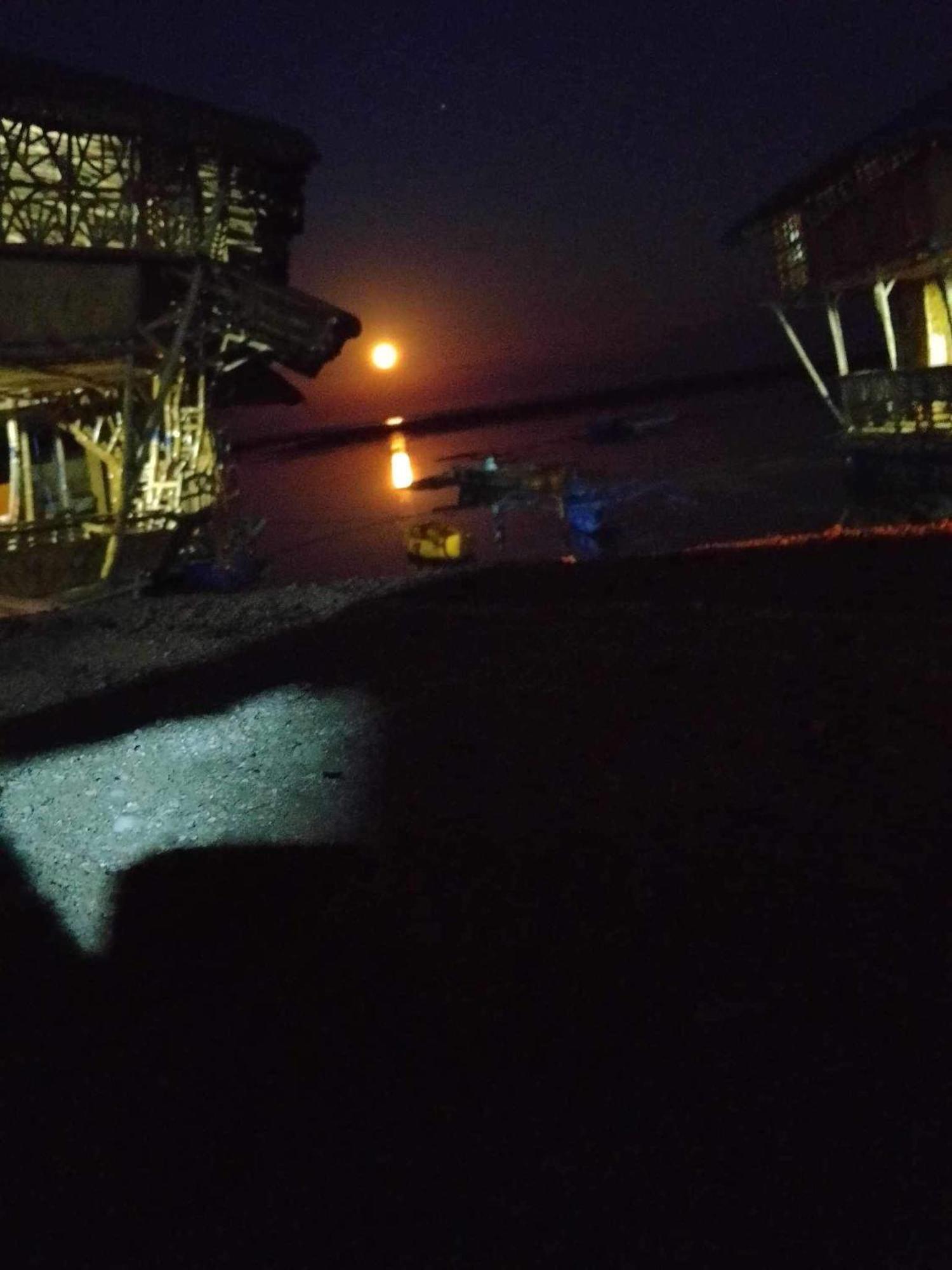 Bamboo Nest Beachfront بويرتو برينسيسا المظهر الخارجي الصورة