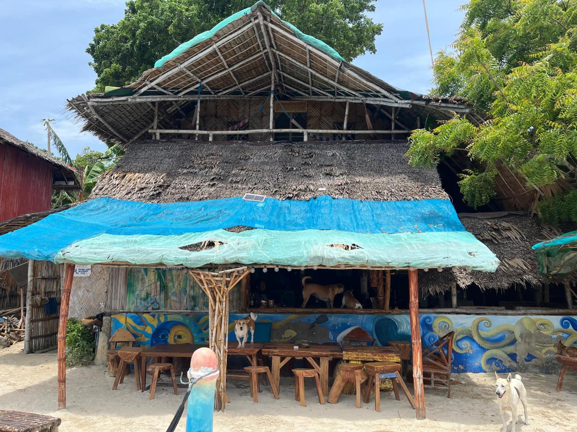 Bamboo Nest Beachfront بويرتو برينسيسا المظهر الخارجي الصورة