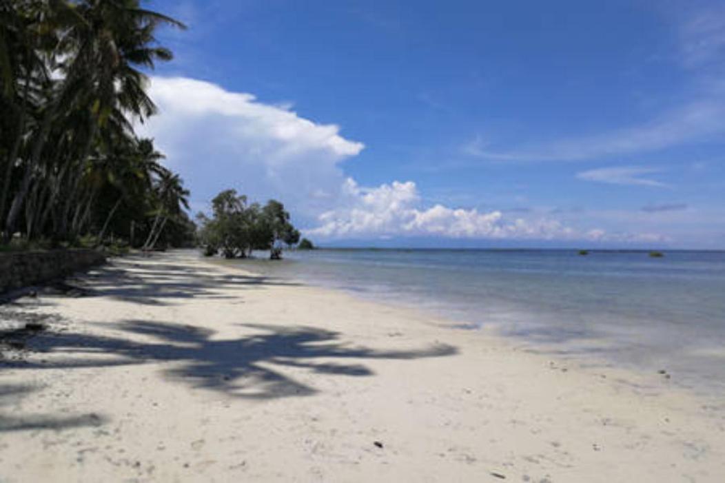 Bamboo Nest Beachfront بويرتو برينسيسا المظهر الخارجي الصورة